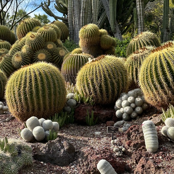 Meet your Posher, Diana - Picture 1 of 1